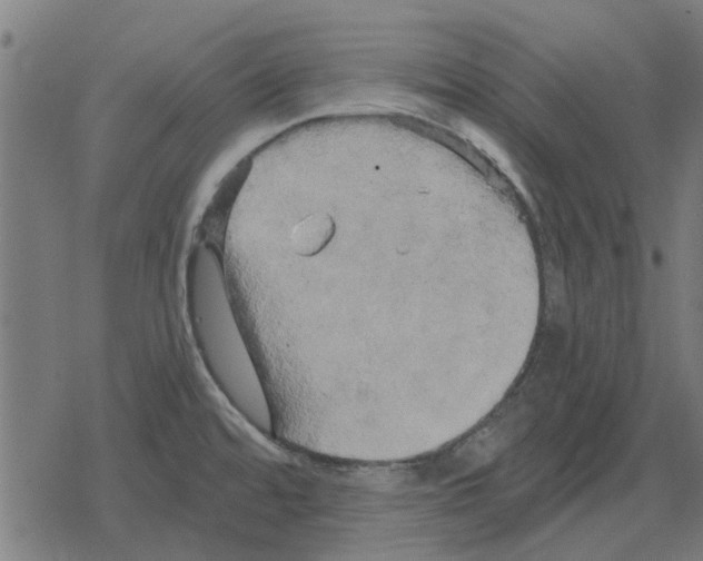 X0000078291480200612011757