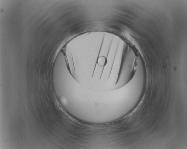 X0000078291481200612011757