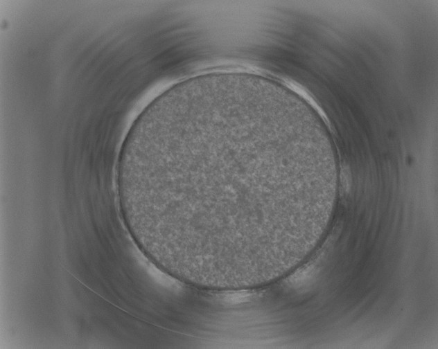 X0000078291482200612011757