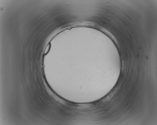 X0000078291483200612011756