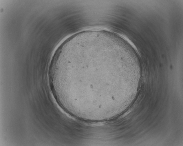 X0000078291484200612011756