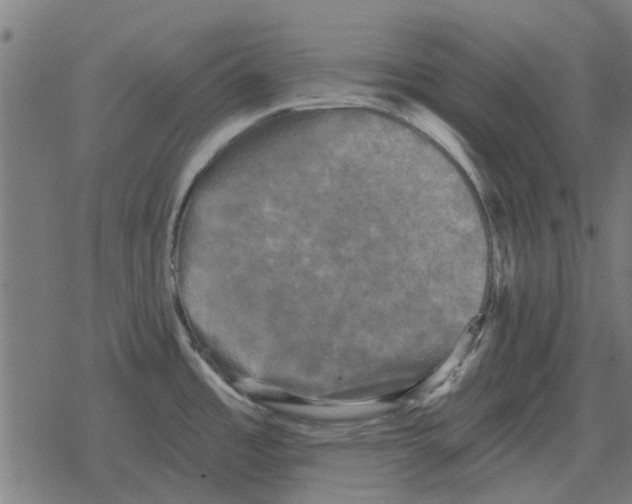 X0000078291485200612011756