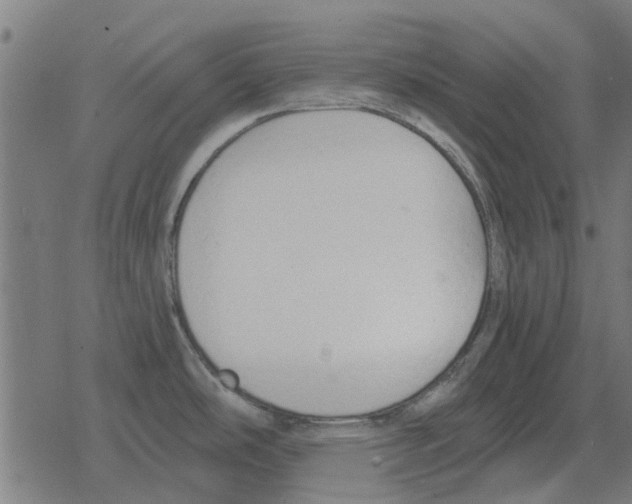 X0000078291486200612011756