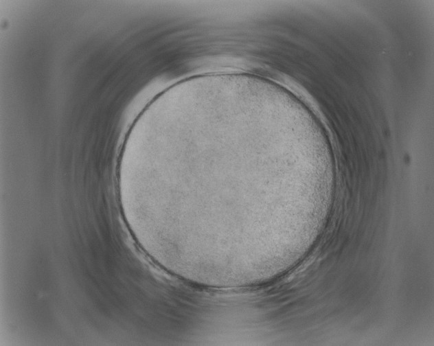 X0000078291488200612011756