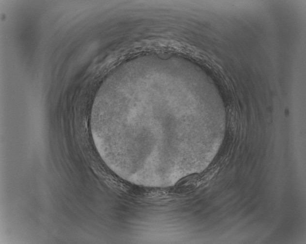 X0000078291489200612011756