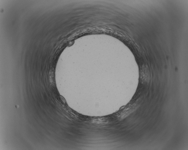 X0000078291490200612011756