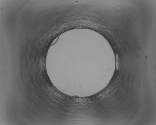 X0000078291491200612011756