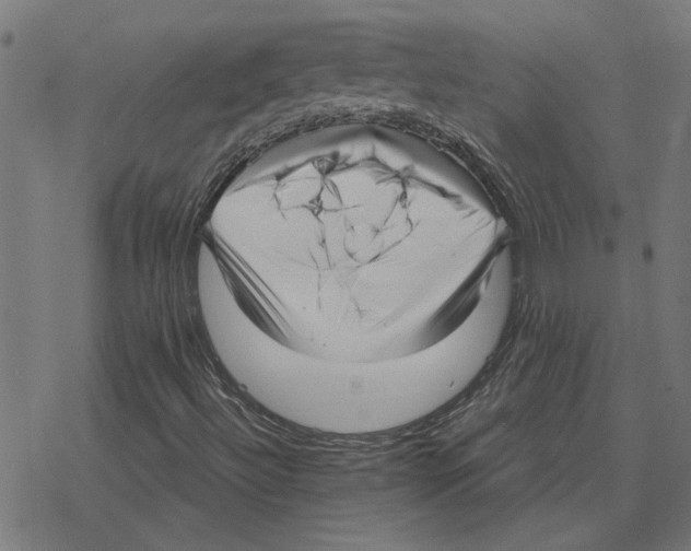 X0000078291492200612011756