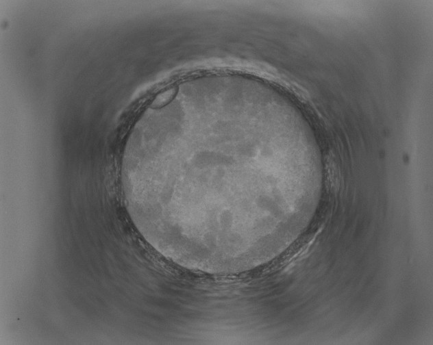 X0000078291494200612011756