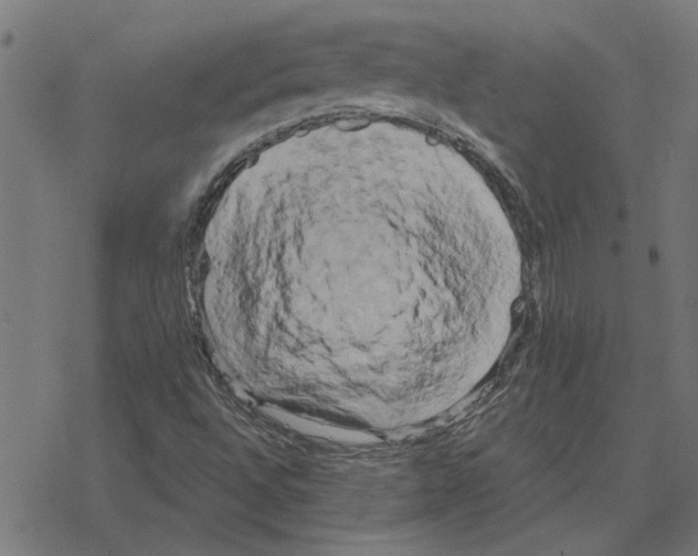 X0000078291496200612011756