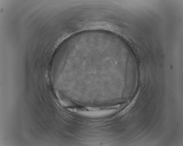 X0000078291497200612011756