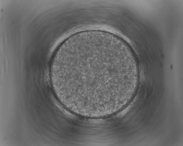 X0000078291498200612011756