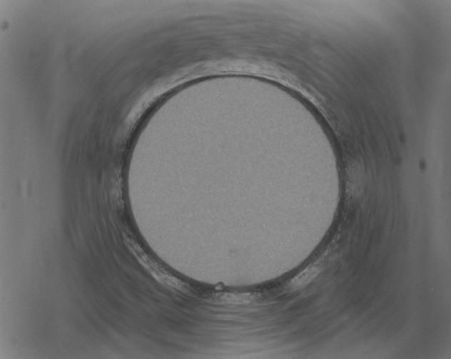 X0000078291499200612011756