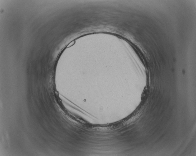 X0000078291500200612011756