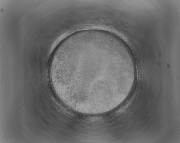 X0000078291501200612011756