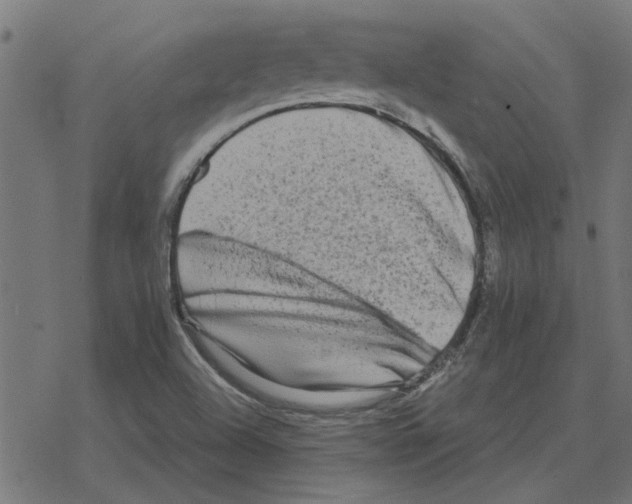 X0000078291504200612011756