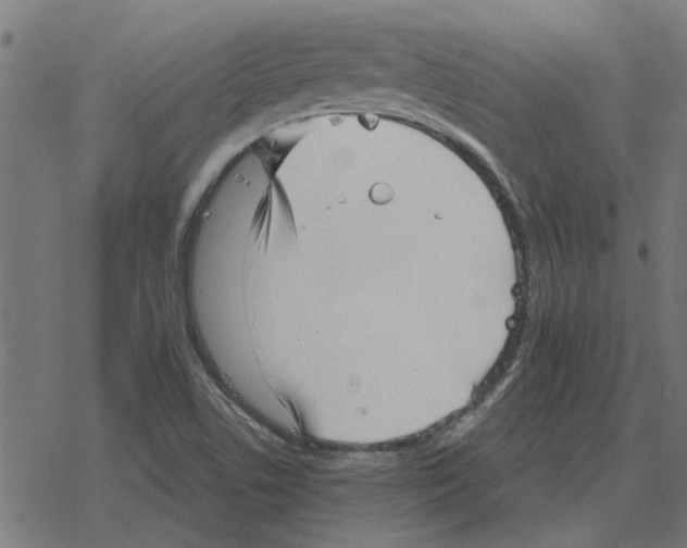 X0000078291506200612011756