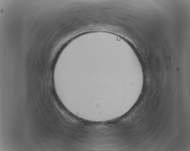 X0000078291507200612011756