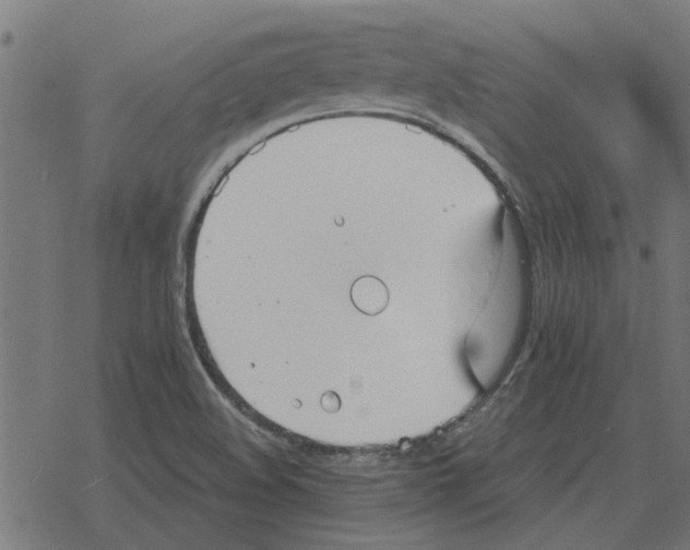 X0000078291508200612011756