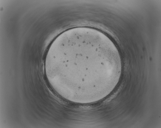 X0000078291509200612011756