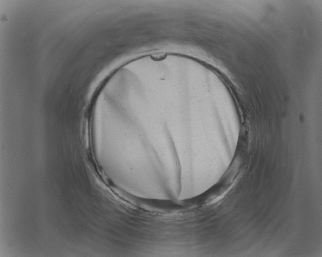 X0000078291510200612011756