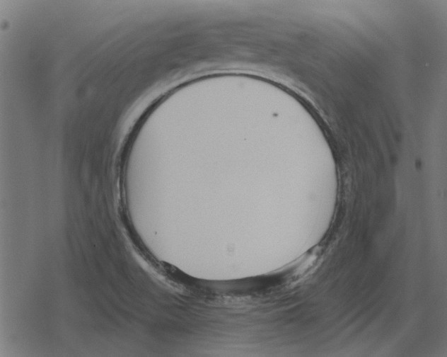 X0000078291511200612011756