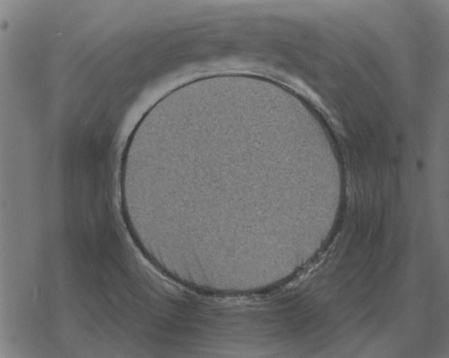 X0000078291512200612011756