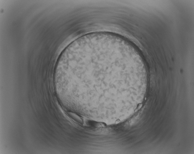 X0000078291513200612011756