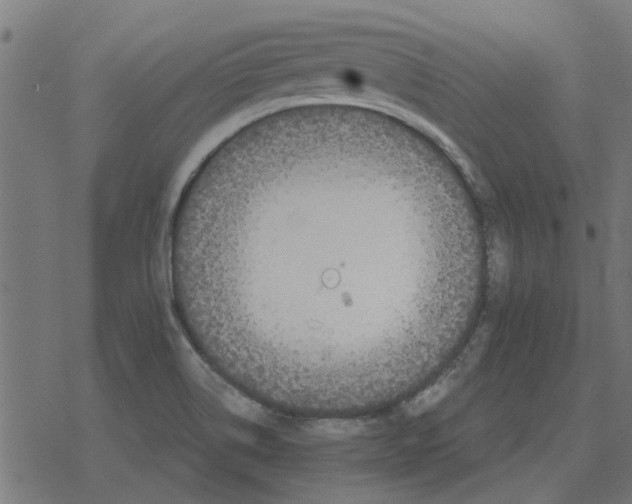 X0000078291514200612011756