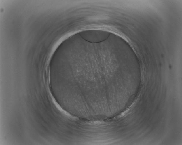 X0000078291515200612011756