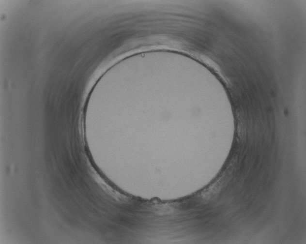 X0000078291516200612011756