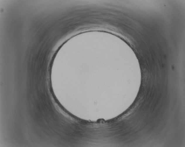 X0000078291518200612011756