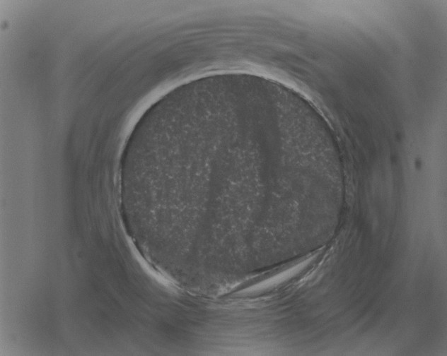 X0000078291519200612011756