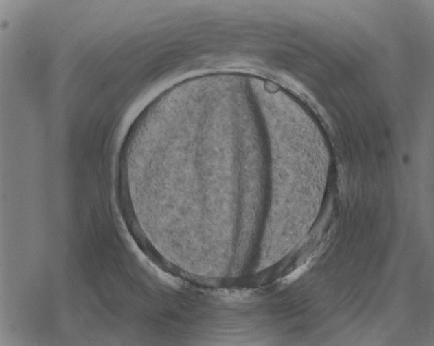 X0000078291520200612011756