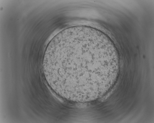 X0000078291521200612011756