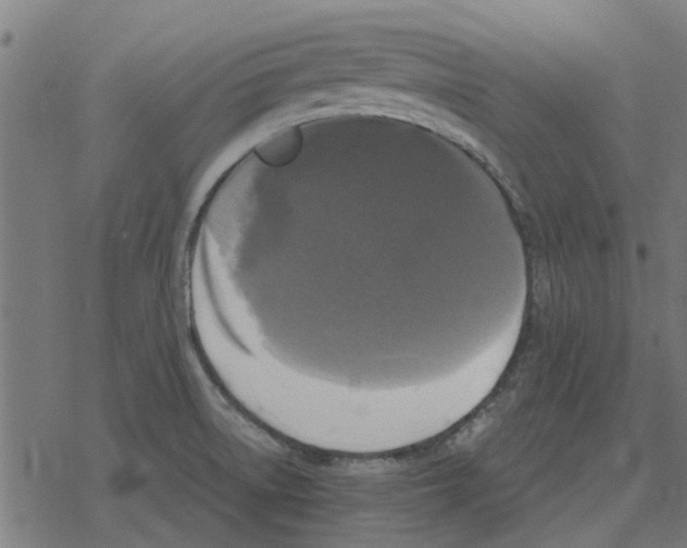 X0000078291522200612011756