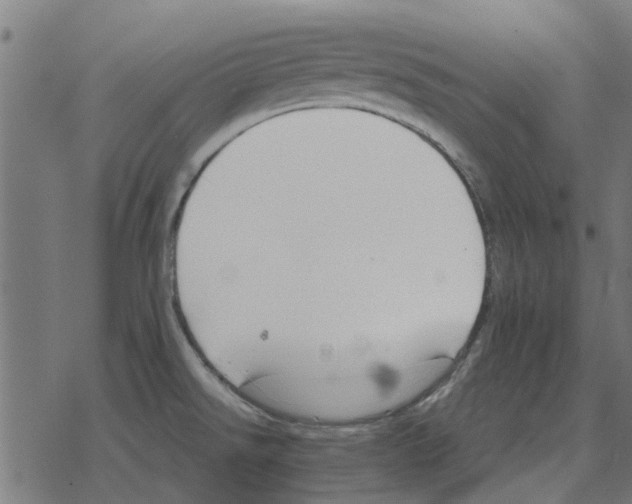 X0000078291526200612011756