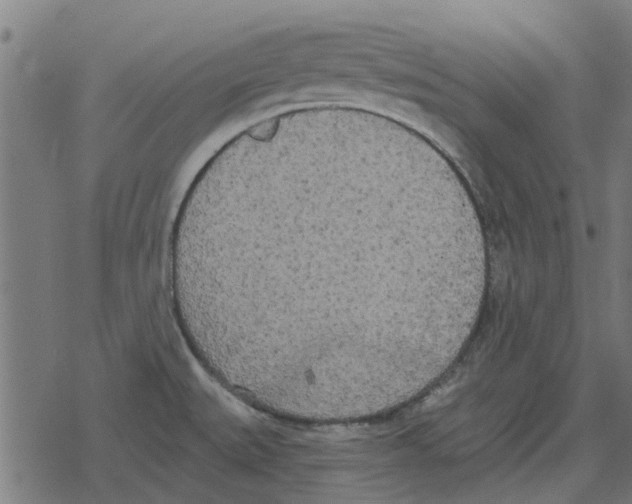 X0000078291527200612011756