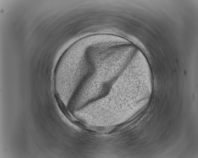 X0000078291528200612011756