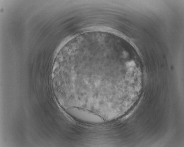 X0000078291529200612011756