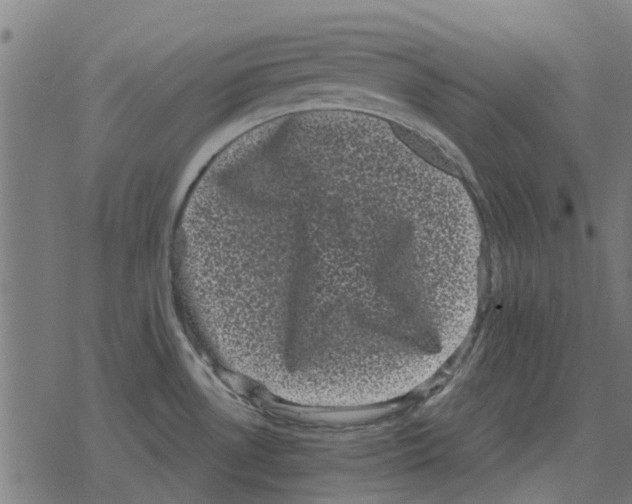 X0000078291530200612011756