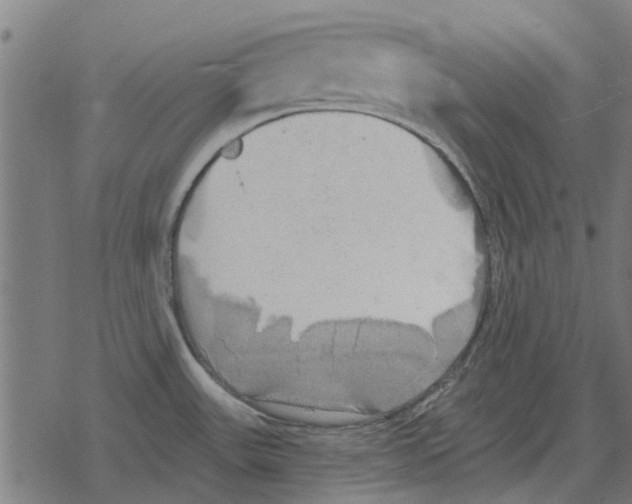 X0000078291531200612011756