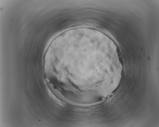 X0000078291532200612011756