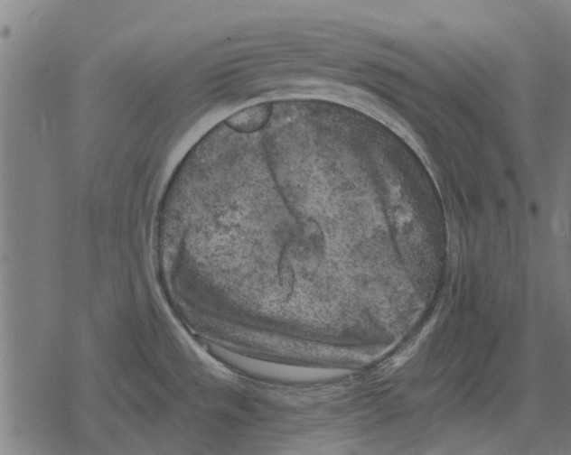 X0000078291533200612011756