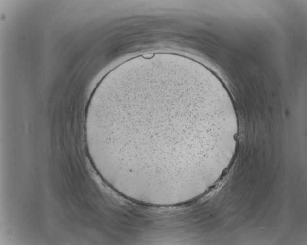 X0000078291534200612011756