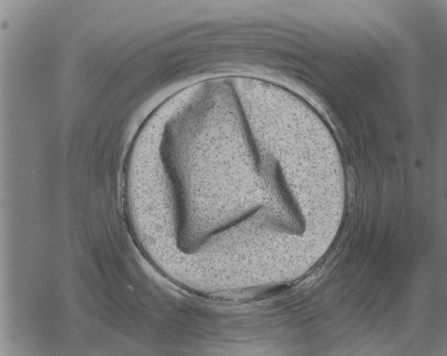 X0000078291535200612011756