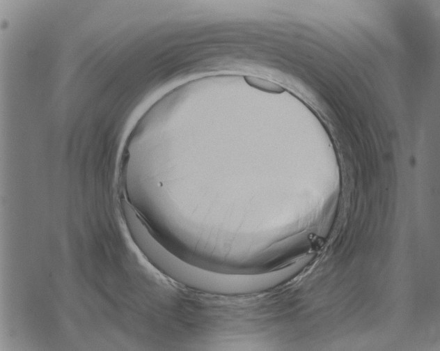 X0000078291536200612011756