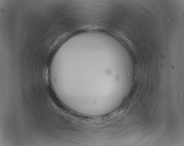 X0000078300024200611031028