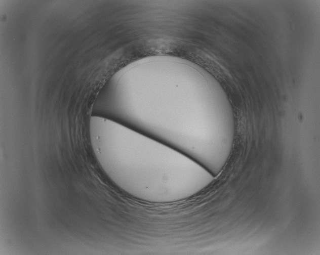 X0000078300030200611031028