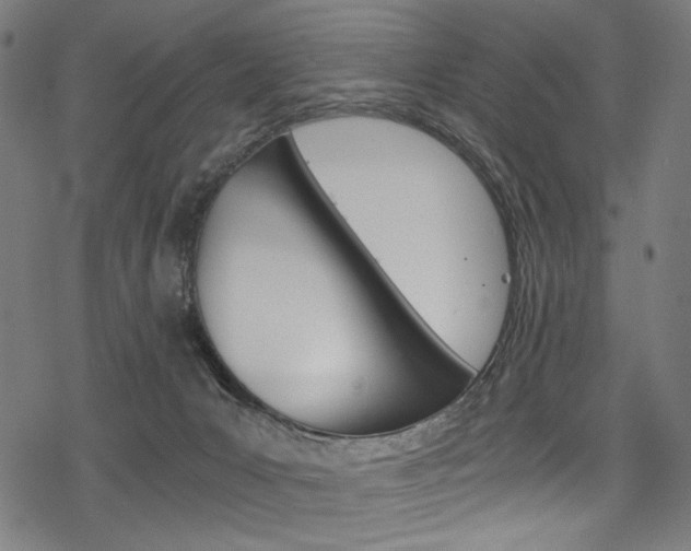 X0000078300031200611031028